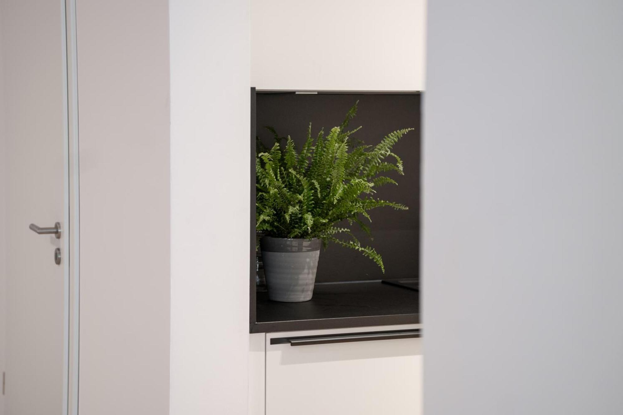 אסשפנבורג Schoentalhaus City Apartments Mit Balkon מראה חיצוני תמונה